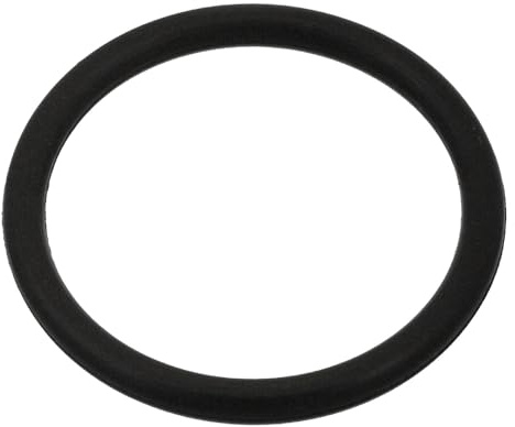 Febi Bilstein 100999 Sealing Ring