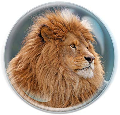 Deluxebase Magnidome Lion Fridge Magnet – Crystal Glass Dome Animal Magnets for Fridges, Decorative Strong Magnet for Kitchen Accessories, Novelty Gifts and Cute Home Decor.