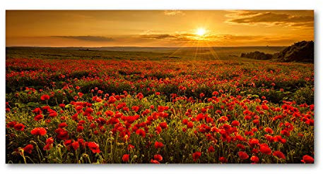 Tulup Crédence de cuisine 140x70cm Dosseret en verre Fond de hotte Verre de sécurité trempé Splashback Guard - Paysage - Rouge - Champ De Coquelicots