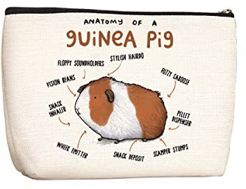 Wenboco Lama Geschenke Lama Make-up Tasche Tierliebhaber Geschenk Inspirierende Geburtstag Abschluss Weihnachten Geschenke für, Polychromatisch 213, 9.7W x 7H