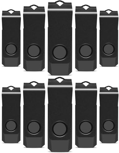 TEWENE Cle USB 1 Go Lot de 10 Clé USB 2.0 Multicolore Clef USB 1 Go,pour Le Stockage et La Sauvegarde de Données(10 Noir)