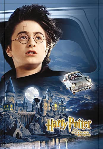 Harry Potter und die Kammer des Schreckens (68,5cm x 98cm)