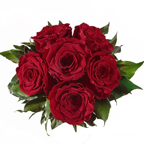 Blumenstrauss konserviert mit 6 Rosen - Rosemarie Schulz (Dunkelrot)