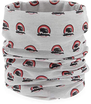 BRISA VW Collection - Volkswagen Unisex Schlauch-Schal-Bandana-Hals-Tuch-Sturm-Haube-Multifunktion-Mund-Nase-Schutz T1 Bulli Bus (Vintage Logo/Grau)