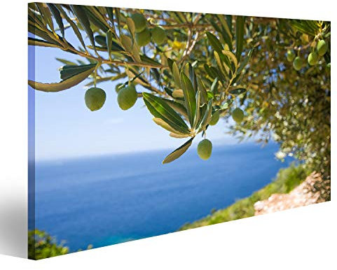 islandburner Bild auf Leinwand Olivenbaum Meer Hintergrund Natur Leinwandbild Wandbild Prime Bilder für Wohnzimmer etc.