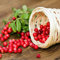 200 pcs Preiselbeeren Samen Extrem Winterharte Kübelpflanzen, Saatgut Alte Sorten Vaccinium macrocarpon Obstbäume Kaufen, Bonsai Winterharte Stauden, Planzen Säulenobst, Geschenke
