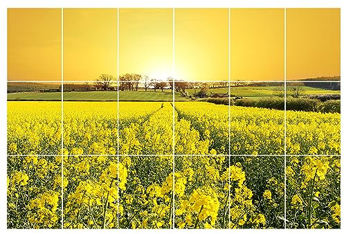 GRAZDesign Fliesenaufkleber Bad & Küche 15x20cm - 18 Stück | Motiv Raps Feld wasserfeste & selbstklebende Klebefliesen | Fliesenfolie Fliesenbild 90x60cm