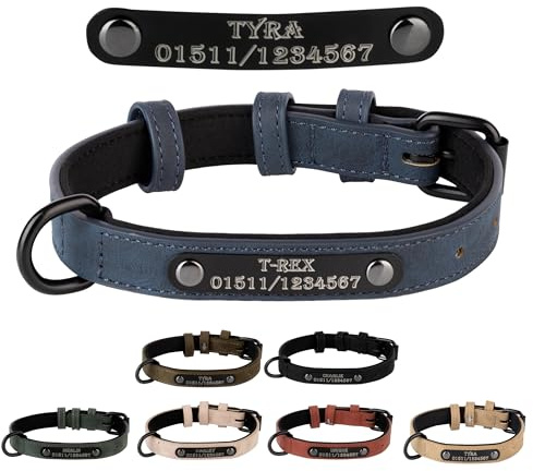 Jacks O Be Hundehalsband Halsband Name Gravur personalisiert Haustier Hund Katze Leder (Blau, XL)