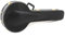 BSX 523835 Tennessee Economy Banjoetui (4-saitig)