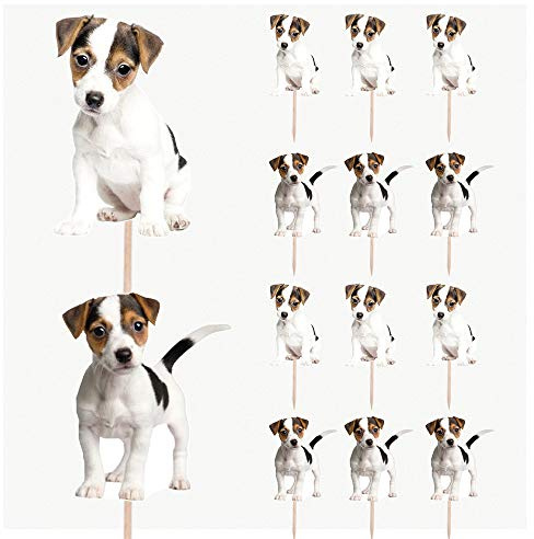 AK Giftshop Jack Russell Puppy Birthday Party Food Cupcakes Picks Decorations Toppers (pack of 14)