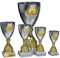 eberin · Wanderpokal · Metall Pokal Anneke · Kelchpokal silber-gold · Pokal mit Wunschtext und auswählbarem Motiv-Emblem · Größe 40,5 cm