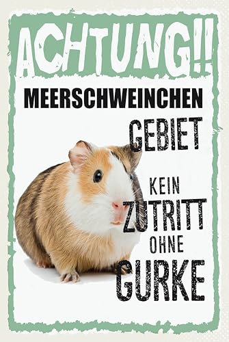 Ontrada Blechschild 12x18cm gewölbt Tiere Achtung Meerschweinchen Schild