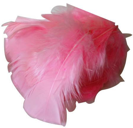 s m sas Environ 25 Plumes Coloris Rose Clair Deco fête Mariage Costume déguisement