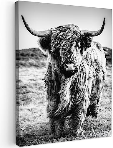 MuchoWow© Wandbilder 60x80 cm Wohnzimmer Wanddeko Schlafzimmer Zimmerdeko Fotowand Zimmer Deko Wand Dekoration Wall Art Schottisches Hochlandrind - Highland Cow - Kuh Bild - Schwarz und Weiß
