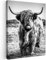 MuchoWow© Wandbilder 60x80 cm Wohnzimmer Wanddeko Schlafzimmer Zimmerdeko Fotowand Zimmer Deko Wand Dekoration Wall Art Schottisches Hochlandrind - Highland Cow - Kuh Bild - Schwarz und Weiß