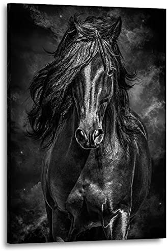 Kunstgestalten24 Leinwandbild Pferd Dark Style Wandbild Kunstdruck Raum u. Wanddeko