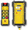 NEWTRY Telecomando senza fili per gru da 12 V, portata di controllo radio da 300 m, 6 tasti, per attrezzature di sollevamento industriali, camion, gru, interruttore di sollevamento elettrico