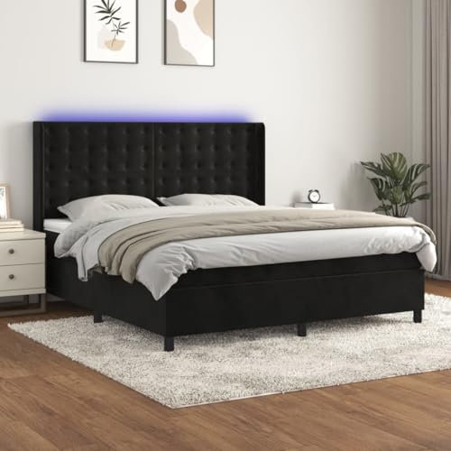 qohoio Boxspringbett mit Matratze & LED Bett Mit Matratze Bett Boxspringbett Betten Boxspringbett Schwarz 160x200 cm Samt - 3139813