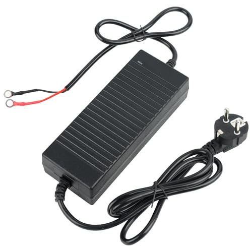 12V Standheizung Diesel Netzteil, 230V Auf 12V Transformator Netzadapter | Dieselheizungs Spannungswandler Transformator Netzadapter Für 5kW 8kW RV Campers Parking Air Heater (Metal connectors)