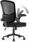 naspaluro Ergonomischer Bürostuhl, Schreibtischstuhl mit 90° Klappbaren Armlehnen, Einzigartige Lendenwirbelstütze, Atmungsaktive Mesh-Polsterung für das Heimbüro, Studie, Schwarz.