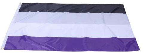 BESPORTBLE Asexuelle Pride Flagge aus Langlebigem Material Farbintensives Genderqueer Banner für Pride Paraden und Lgbtqia Veranstaltungen Wetterfestes Außendekor