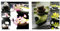levandeo 2 Leinwandbilder im Set INKLUSIV Schrauben - Wandbilder jeweils 60x60cm - Lotusblüte Wellness Feng Shui Steingarten Orchideen