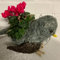 Festive Rattan Animal planters with plant - By Bryncir Garden Centre (1, Robin)