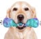 HETOO Dog Chew Toys Indestructible Dog Toys for Large Medium Breed Durable Rubber Squeaky Toy for Aggressive Chewers Tough Strong Bone Outdoor Interactive Dog Toys Birthday Gifts Purple