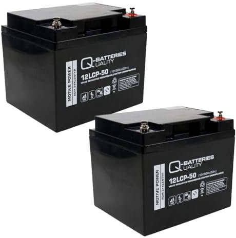 Ersatzakku für Bischoff & Bischoff Terra Rollstuhl 24V 2 x 12V 50Ah