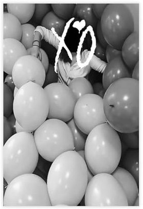 LIPOYE Poster House of Balloons auf Leinwand, Schlafzimmer, Dekoration, Landschaft, Büro, Raumdekoration, Geschenk, 20 x 30 cm