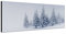 Wandbild auf Leinwand als Panorama in 120x40 cm Winterwald mit schneebedeckten Tannen. Tolles Natur- Landschaftsbild mit Schnee und Tannen im Nebel