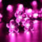 KINGCOO Solarlampen Blumen Schnur Lichter Außen, Wasserdicht 23ft/7m 50 LED Pfirsichblüte Kirschblüte Solar Lichterkette für GärtenHäuser Hochzeit Weihnachtsfeier Dekorationen(Rosa)