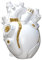 Lazyspace Anatomische Herzvase, kreative Herz-Statue, menschliche Herzvase, Blumenvase für Schreibtisch, Wohnzimmer
