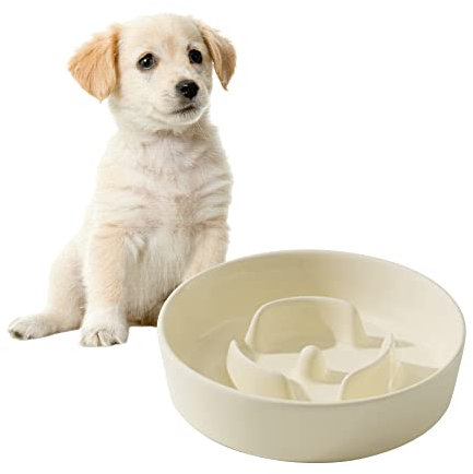 Havniva Ceramic Slow Dog Feeder Bowl for Small Dog, Slow Dog Food Bowl Small, Slow Dog Water Bowl, Stop Bloat, Preventing Choking (1 x Cream White, 15.5cm)