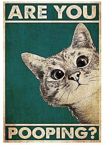 Are You Pooping Poster, 30 x 40 cm, divertente, decorazione per la casa, decorazione per la camera degli ospiti, decorazione personalizzata, per il bagno, il WC, la toilette, decorazione vintage