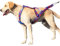 Zuggeschirr für Hunde, Bequemes Welpengeschirr Hund Brustgeschirr, Vielseitig Outdoor Hundeseil Hundeleine Leine Seil für Kleine Große Hunde