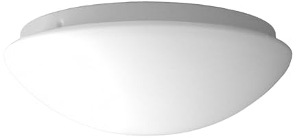 Niermann Standby LED Deckenleuchte Deckenschale rund Ø 25cm, NURGLASLEUCHTE OPALGLAS matt, schöne LED Dielenleuchte mit Bajonettverschluß