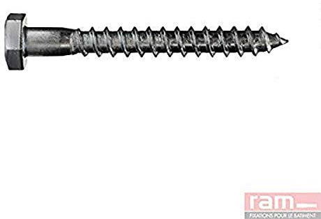 Ram - Tirefond Acier Zingué, 10mm x 100mm, Gris, Sachet de 10