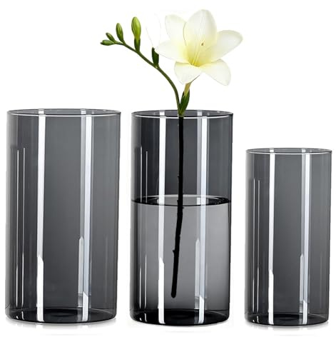Wintfarm Vase,3 Set Grau Acryl Zylindervase,Klare Langlebige Unzerbrechliche Vasen,Vase Kunststoff für Blumenarrangements, Tischdeko,Hochzeits-Mittelstücke, Heimwerken (20x10 und 25x12 und 25x15cm)