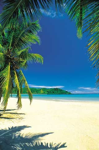 Empire 106711 Palm Beach into The Blue, Poster/Plakat ca. 91.5 x 61 cm