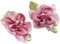 chenkou Craft 2Tone Satinband Blumen Schleifen Applikationen DIY Craft Hochzeit DEC... Mauve