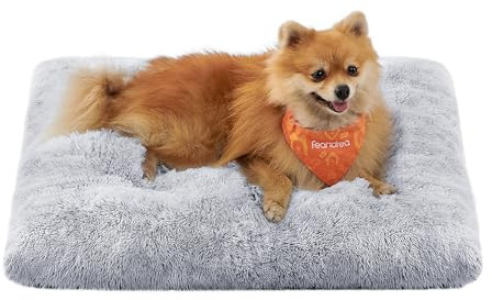 Feandrea Hundebett, Hundekissen, Flauschige Hundematte, Langer Plüsch, 65 x 45 cm, weiche Polsterung, maschinenwaschbar, multifunktional, Ombré-Grau PGW200G01