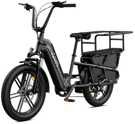 TST Elektrofahrrad für Erwachsene Lastenrad E Bike mit 20 Fat Reifen