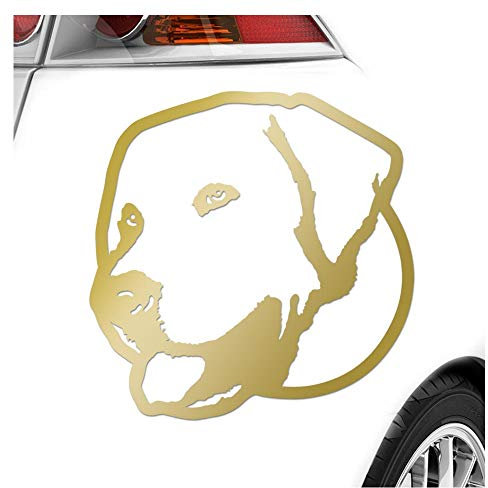 Kiwistar - Autoaufkleber - Labrador Retriever Hund - Gold - 60x55cm - Heckscheibe Auto Aufkleber wetterfest für Kfz LKW Mofa Truck - Sticker außen selbstklebend Tuning Zubehör für Fenster Fahrzeug