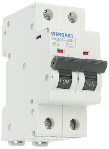 Wengart MCB WGM12-63H - Disjoncteur AC230V 63A 2P 10kA B-Char, convient pour les appareils ménagers et les circuits d'éclairage - Convient pour les boîtes de distribution
