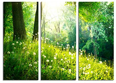 Paul Sinus Art 130x90cm – KUNSTDRUCK Frühling Natur wunderschöne Landschaft Pusteblumen 3teiliges Wandbild auf Leinwand und Keilrahmen - Fotobild Kunstdruck Artprint