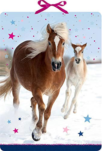 Wandkalender - Pferdefreunde im Schnee: Mit Text-Bild-Türchen
