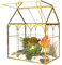 Großes Terrariumglas für Pflanzen, Glas, Gewächshaus, Terrarium mit Deckel, Innen-Tischplatte, Orchidee, Sukkulenten, Kakteen-Terrarium, Kit NA (Gold A)
