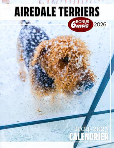 Airedale Terriers Calendrier 2024 - 2025: Calendrier sur trois ans, 30 images d'Airedale Terriers, de janvier 2024 à juin 2026, papier épais et ... des chiens, jours fériés français inclus.