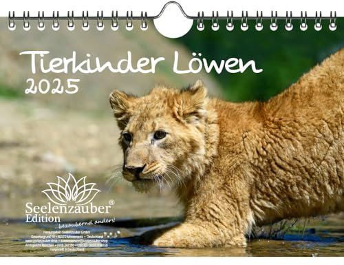 Tierkinder Löwen DIN A5 Kalender für 2025 Löwenbabys - Seelenzauber